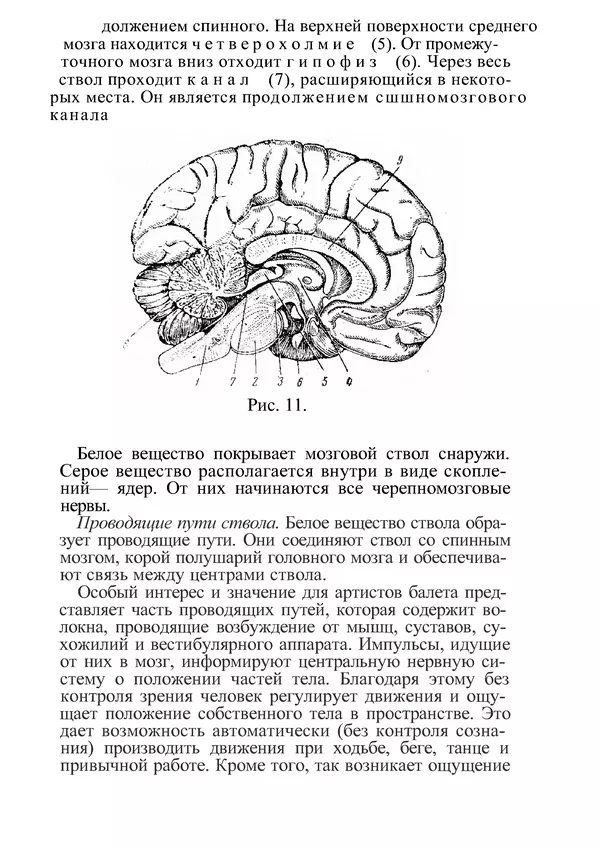 КулЛиб. М. С. Миловзорова - Анатомия и физиология человека. Страница № 33