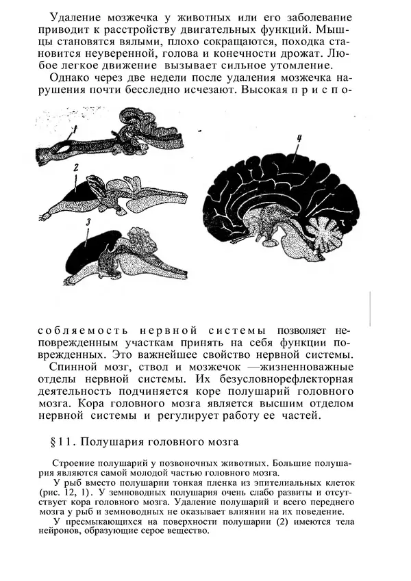 КулЛиб. М. С. Миловзорова - Анатомия и физиология человека. Страница № 35