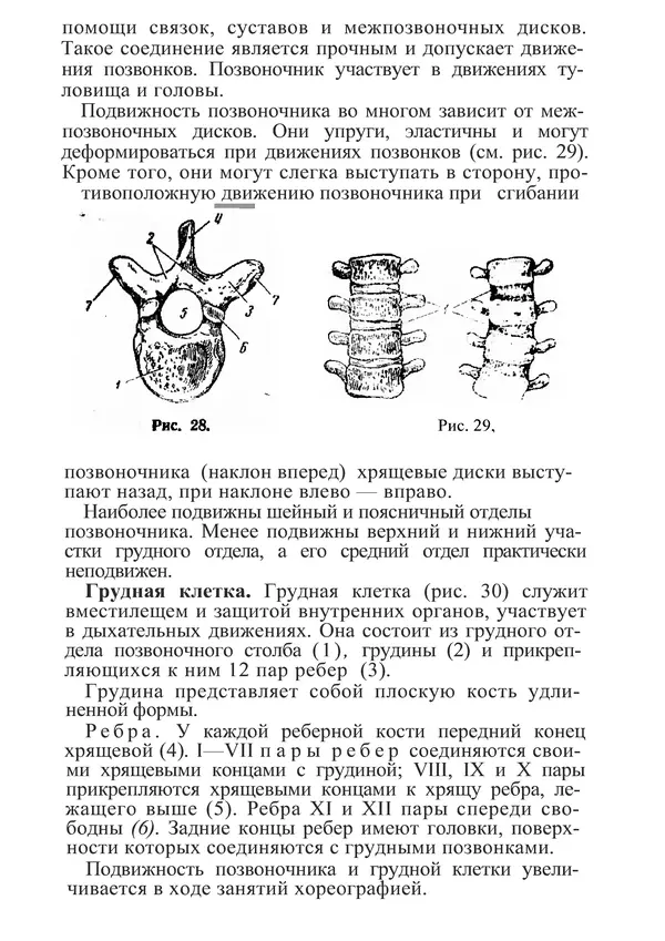 КулЛиб. М. С. Миловзорова - Анатомия и физиология человека. Страница № 89