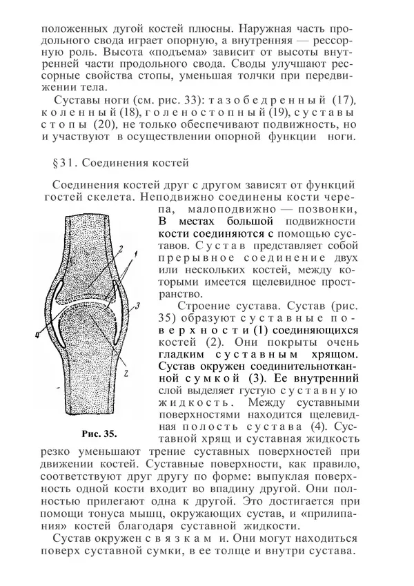 КулЛиб. М. С. Миловзорова - Анатомия и физиология человека. Страница № 94