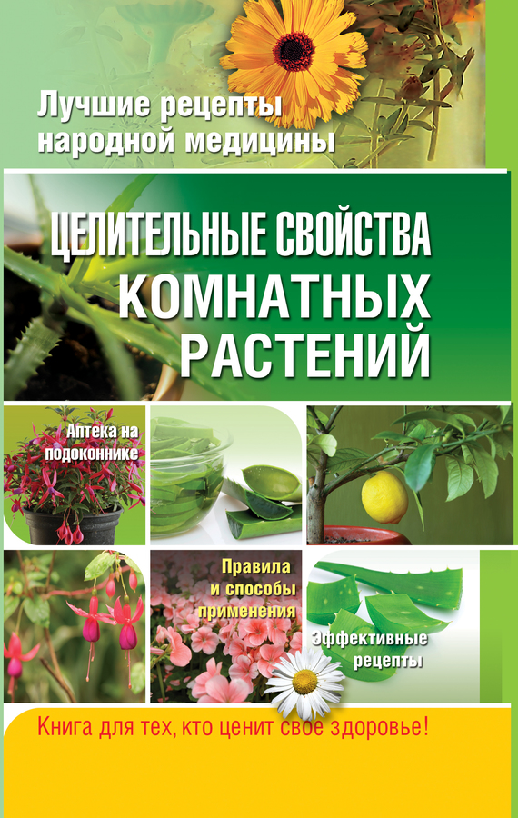 Целительные свойства комнатных растений (fb2)