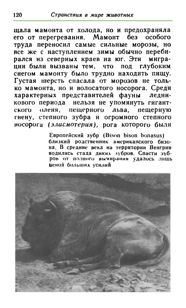 КулЛиб. Хенрик  Фаркаш - Странствия в мире животных. Страница № 121