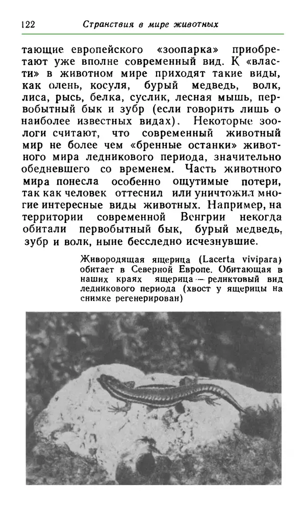КулЛиб. Хенрик  Фаркаш - Странствия в мире животных. Страница № 123