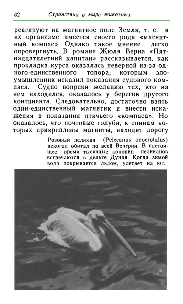 КулЛиб. Хенрик  Фаркаш - Странствия в мире животных. Страница № 33
