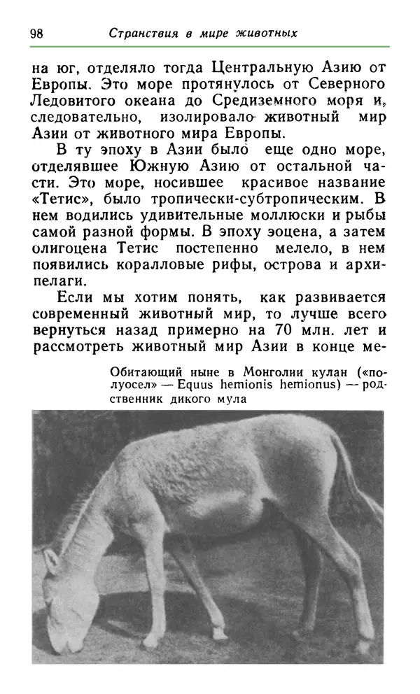 КулЛиб. Хенрик  Фаркаш - Странствия в мире животных. Страница № 99