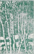 Книга - Леонид Леонидович Семаго - Зеленая книга леса (fb2) читать без регистрации