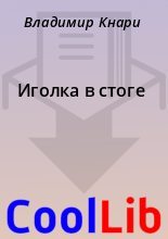 Книга - Владимир  Кнари - Иголка в стоге (fb2) читать без регистрации