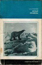 Книга - Савва Михайлович Успенский - Белый медведь (fb2) читать без регистрации