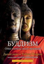 Книга - Тензин  Гьяцо (Далай-лама XIV) - Буддизм. Один учитель, много традиций (fb2) читать без регистрации
