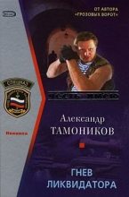 Книга - Александр Александрович Тамоников - Гнев ликвидатора (fb2) читать без регистрации