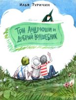 Книга - Илья Афроимович Туричин - Три Андрюши и Добрый Волшебник (fb2) читать без регистрации
