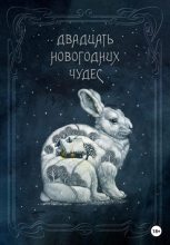 Книга - Мария  Васильева - Двадцать новогодних чудес (fb2) читать без регистрации