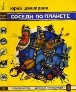 Книга - Юрий Дмитриевич Дмитриев - Соседи по планете Насекомые (fb2) читать без регистрации