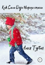 Книга - Алеся  Турбан - Как Саша Деда Мороза спасал (fb2) читать без регистрации