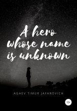 Книга - Тимур Джафарович Агаев - A hero whose name is unknown (fb2) читать без регистрации