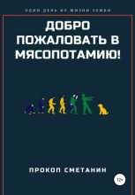 Книга - Прокоп  Сметанин - Добро пожаловать в Мясопотамию! (fb2) читать без регистрации
