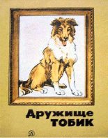 Книга - Станислав Тимофеевич Романовский - Мальчик и две собаки (fb2) читать без регистрации