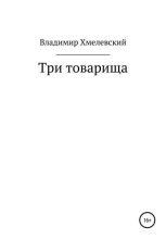 Книга - Владимир  Хмелевский - Три товарища (fb2) читать без регистрации