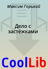 Книга - Максим  Горький - Дело с застёжками (fb2) читать без регистрации