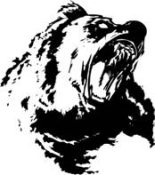 Книга - Kris  Kelvin - Дракон и медведь (fb2) читать без регистрации