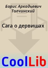 Книга - Борис Аркадьевич Толчинский - Сага о дервишах (fb2) читать без регистрации