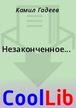 Книга - Камил  Гадеев - Незаконченное... (fb2) читать без регистрации