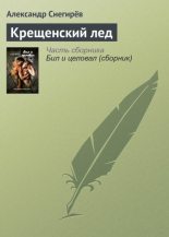 Книга - Александр  Снегирев - Крещенский лед (fb2) читать без регистрации