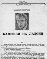Книга - Владимир Алексеевич Солоухин - Камешки на ладони (fb2) читать без регистрации