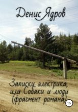 Книга - Денис  Ядров - Записки электрика, или Собаки и люди (fb2) читать без регистрации