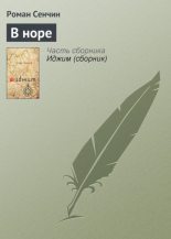 Книга - Роман Валерьевич Сенчин - В норе (fb2) читать без регистрации