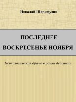 Книга - Николай Григорьевич Шарифулин - Последнее воскресенье ноября (fb2) читать без регистрации
