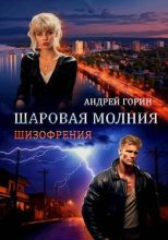 Книга - Андрей  Горин - Шаровая молния (СИ) (fb2) читать без регистрации