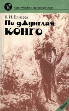 Книга - Василий Иванович Елисеев - По джунглям Конго (fb2) читать без регистрации