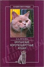 Книга - Олеся Александровна Пухова - Британские короткошерстные кошки (fb2) читать без регистрации