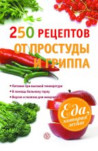 Книга - Виктор Федорович Ильин - 250 рецептов от простуды и гриппа (fb2) читать без регистрации