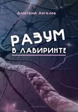 Книга - Дмитрий  Ангелов - Разум в лабиринте (fb2) читать без регистрации
