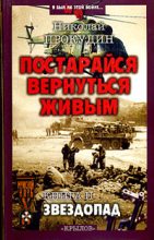 Книга - Николай Николаевич Прокудин - Звездопад (fb2) читать без регистрации