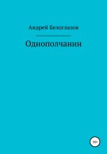 Книга - Андрей Михайлович Белоглазов - Однополчанин (fb2) читать без регистрации