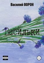 Книга - Василий  Ворон - Васильки (fb2) читать без регистрации
