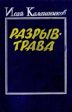 Книга - Исай Калистратович Калашников - Разрыв-трава (fb2) читать без регистрации