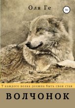 Книга - Оля  Ге - Волчонок (fb2) читать без регистрации