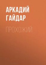 Книга - Аркадий Петрович Гайдар - Прохожий (fb2) читать без регистрации
