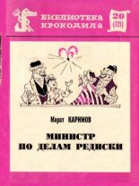 Книга - Марат Набиевич Каримов - Министр по делам редиски (fb2) читать без регистрации