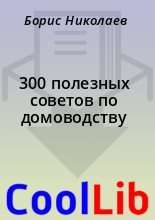 Книга - Борис  Николаев - 300 полезных советов по домоводству (fb2) читать без регистрации