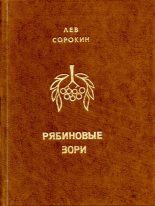 Книга - Лев Леонидович Сорокин - Рябиновые зори (fb2) читать без регистрации