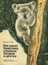Книга - Лесли  Риис - Про коалу Ушастика (fb2) читать без регистрации