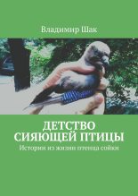 Книга - Владимир  Шак - Детство сияющей птицы. Истории из жизни птенца сойки (fb2) читать без регистрации