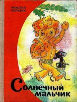Книга - Николай Георгиевич Поливин - Солнечный мальчик (fb2) читать без регистрации
