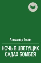 Книга - Александр  Торин (Тараторин) - Ночь в Цветущих садах Бомбея (fb2) читать без регистрации