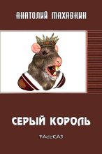 Книга - Анатолий Анатольевич Махавкин - Серый король (fb2) читать без регистрации